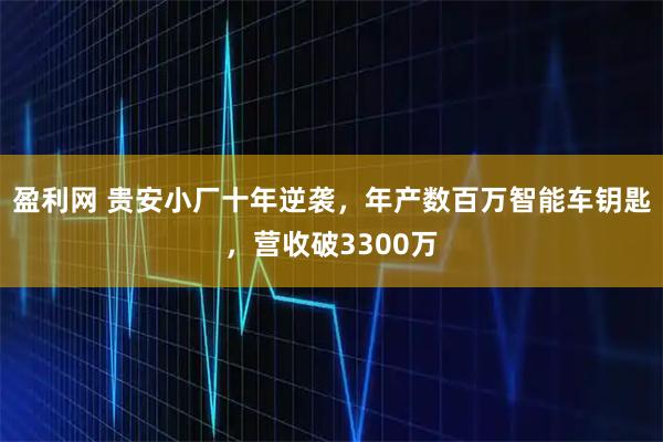 盈利网 贵安小厂十年逆袭，年产数百万智能车钥匙，营收破3300万