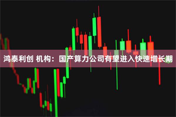 鸿泰利创 机构：国产算力公司有望进入快速增长期