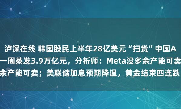 泸深在线 韩国股民上半年28亿美元“扫货”中国AI全景图;美半导体市值一周蒸发3.9万亿元,分析师:Meta没多余产能可卖;美联储加息预期降温,黄金结束四连跌 | 一周国际财经
